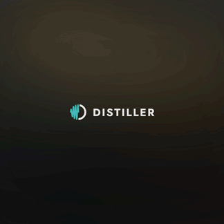 distortion filter